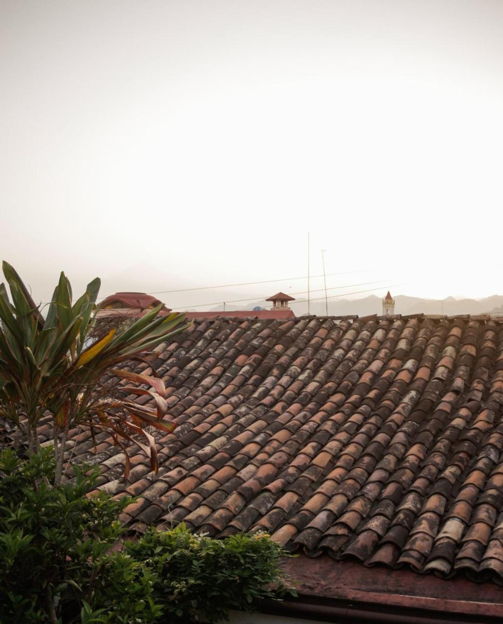 Posada Galeria Alberto Sedas Huatusco 外观 照片