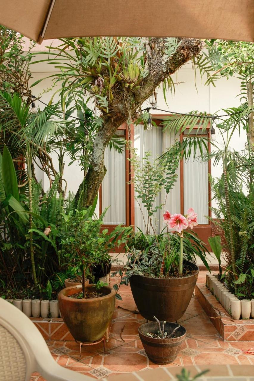 Posada Galeria Alberto Sedas Huatusco 外观 照片